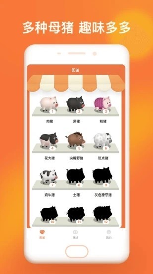 一起来养猪红包版_一笑下载站