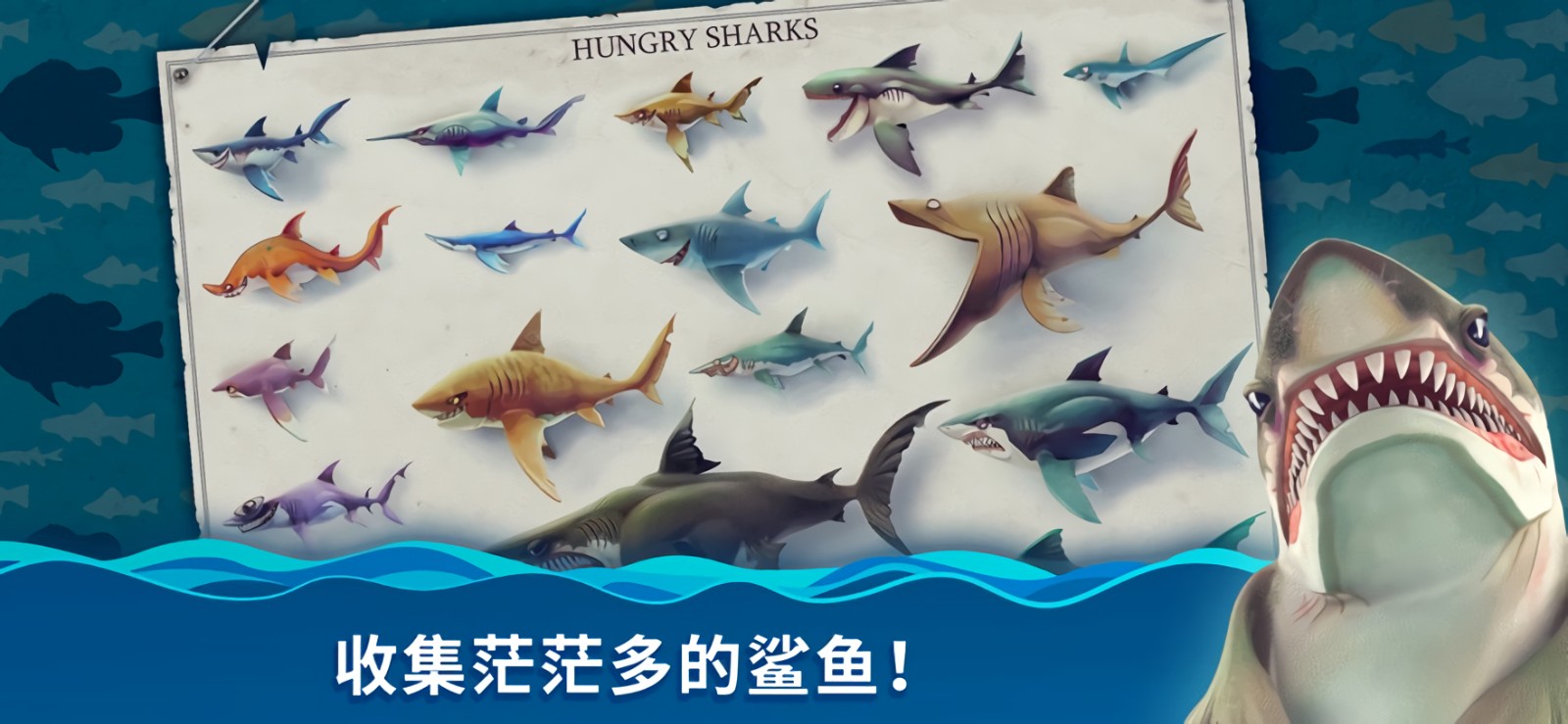 饥饿鲨：世界_一笑下载站