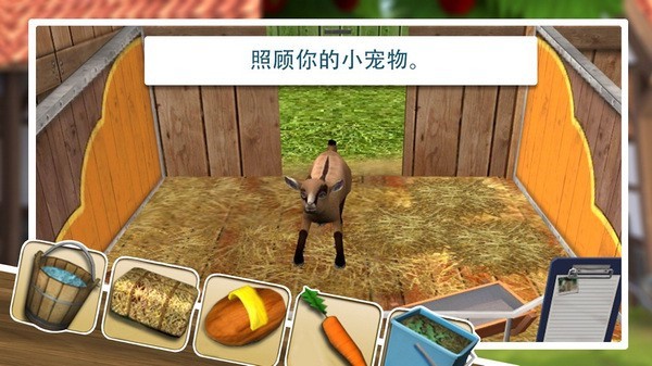 宠物世界3D我的动物救援所_一笑下载站