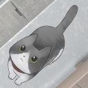 迷途猫_一笑下载站