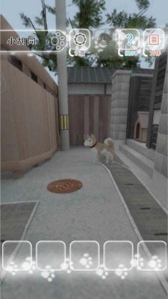 迷途猫_一笑下载站