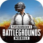 pubg国际服手游下载_一笑下载站