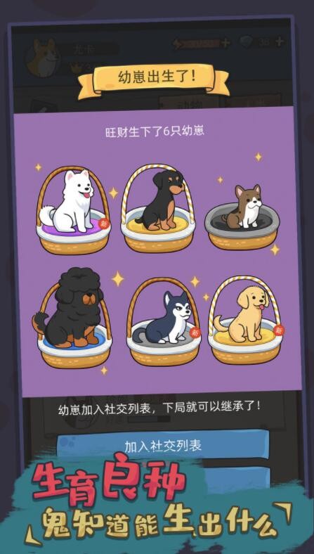 狗生模拟器_一笑下载站
